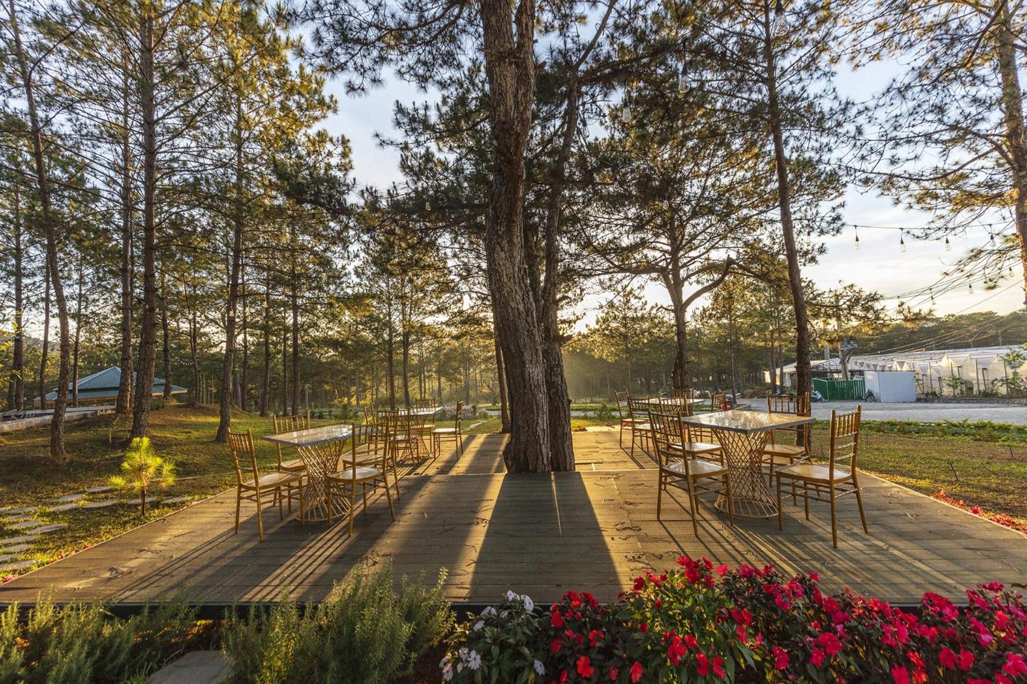 Kim Resort - Khu Nghi Duong Rung La Kim Dalat Eksteriør bilde